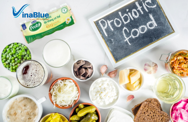 Probiotic cung cấp nhiều lợi khuẩn tốt cơ hệ tiêu hoá