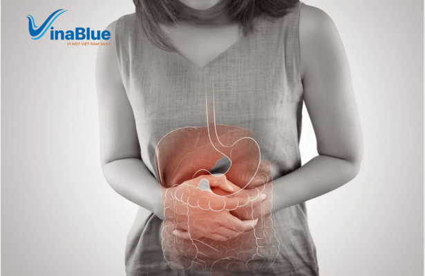 Người bị táo bón thường xuyên được khuyến nghị nên dùng thải độc ruột Aloe Vera