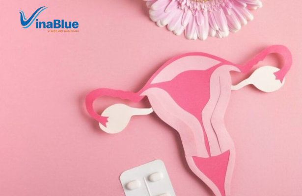 Không lạm dụng các phương pháp thải độc vì dễ gây mất cân bằng môi trường tự nhiên trong cổ tử cung