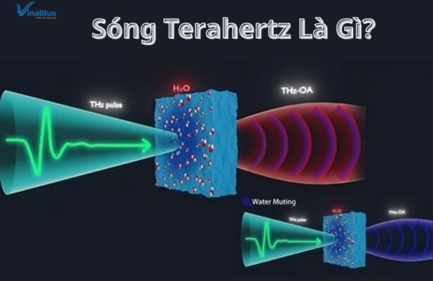 Terahertz là dải sóng điện từ ứng dụng trong khoa học và sức khỏe.