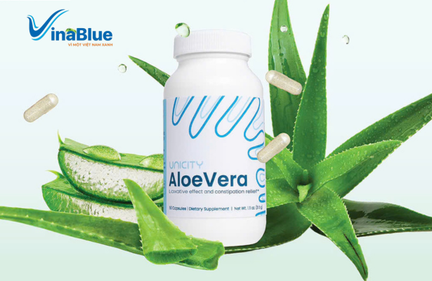 Aloe vera chứa các enzyme và hợp chất tốt hỗ trợ quá trình bài tiết, làm mềm phân trong cơ thể