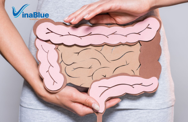 Thải độc ruột đúng cách giúp cơ thể tái tạo lại môi trường ruột khỏe mạnh