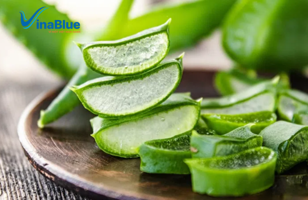 Viên uống thải độc ruột Aloe Vera được điều chế từ cây lô hội